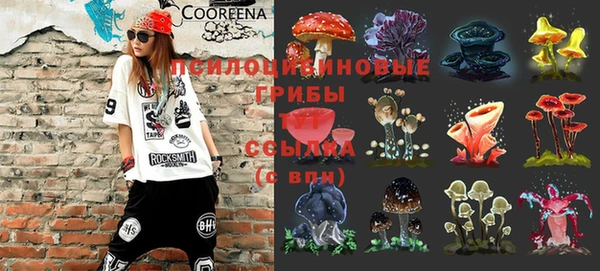 мяу мяу кристалл Иннополис