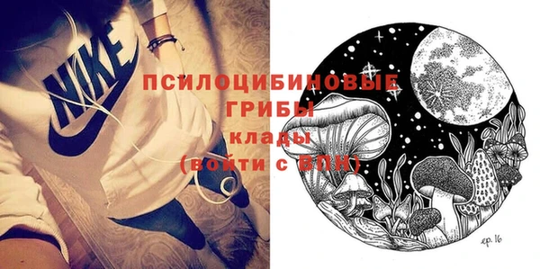 первитин Инта