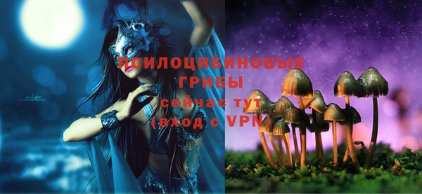 первитин Инта