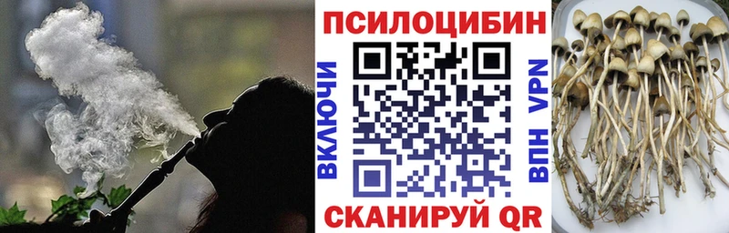 Галлюциногенные грибы GOLDEN TEACHER  Купить  Заринск 